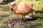 Zoo Dortmund