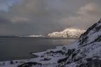 Arctic Nature Tour
